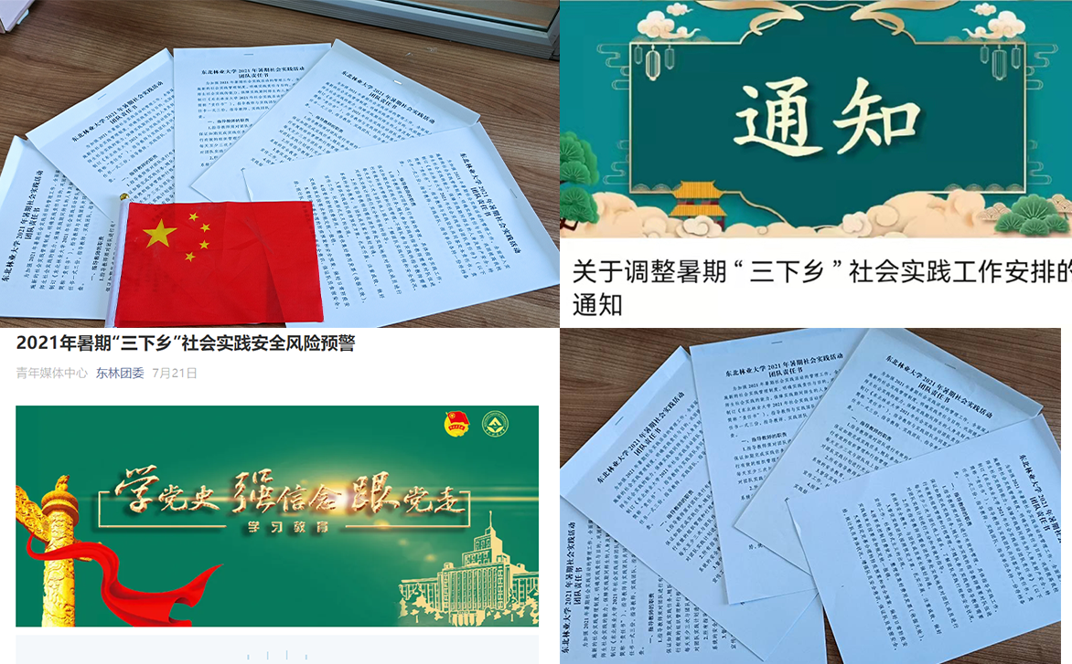 图片 4.png